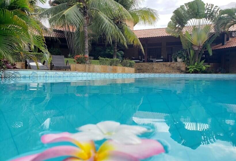 ペンション Kiwi Pousada & Lounge