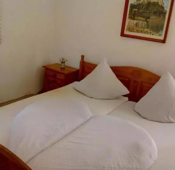 Hotel Vidimo Se