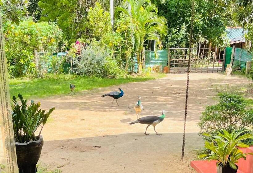 پانسیون Wijesiri Family Guest House