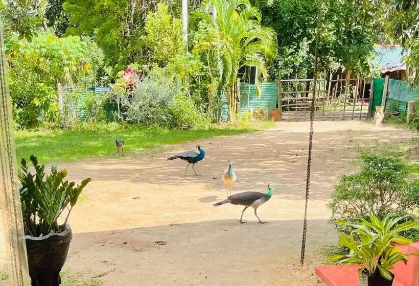 ペンション Wijesiri Family Guest House