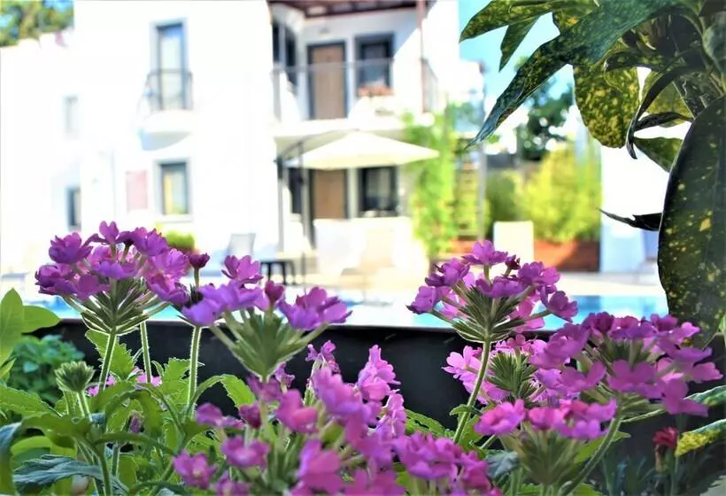 Modern Life Bodrum Otel