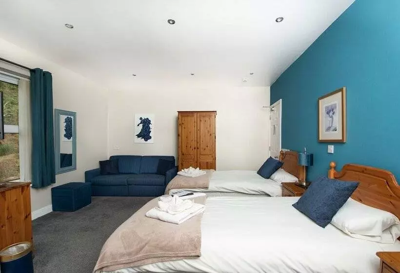 هتل Tyn Y Coed Inn