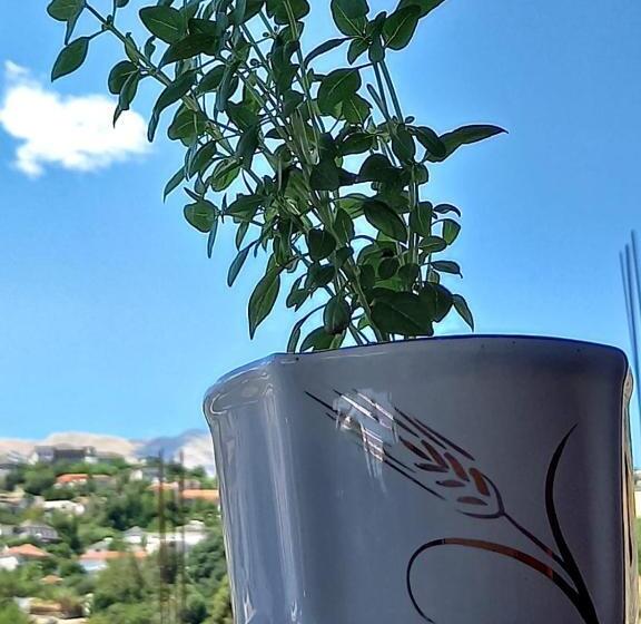 پانسیون Guesthousemantho