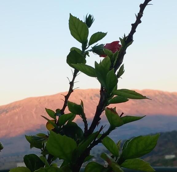 پانسیون Guesthousemantho