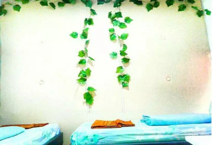 پانسیون History Guest House