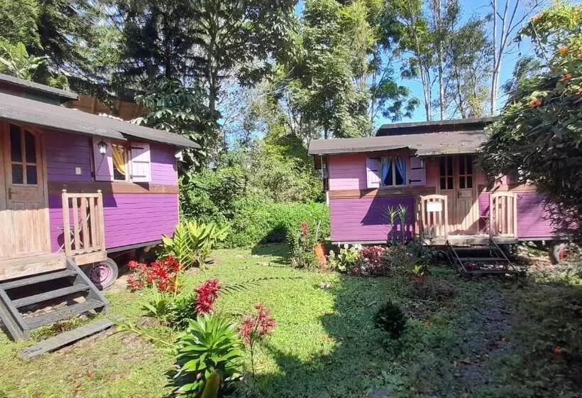 ユースホステル Hosteria La Roulotte   Mindo