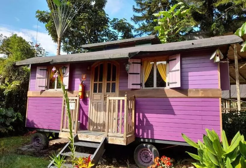 ユースホステル Hosteria La Roulotte   Mindo