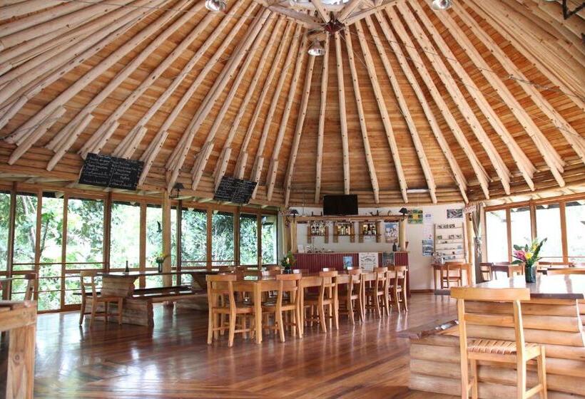 ユースホステル Hosteria La Roulotte Mindo