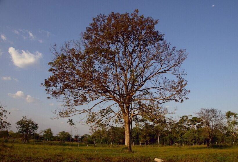 בית מלון כפרי Rio Humadea