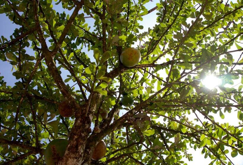 בית מלון כפרי Rio Humadea