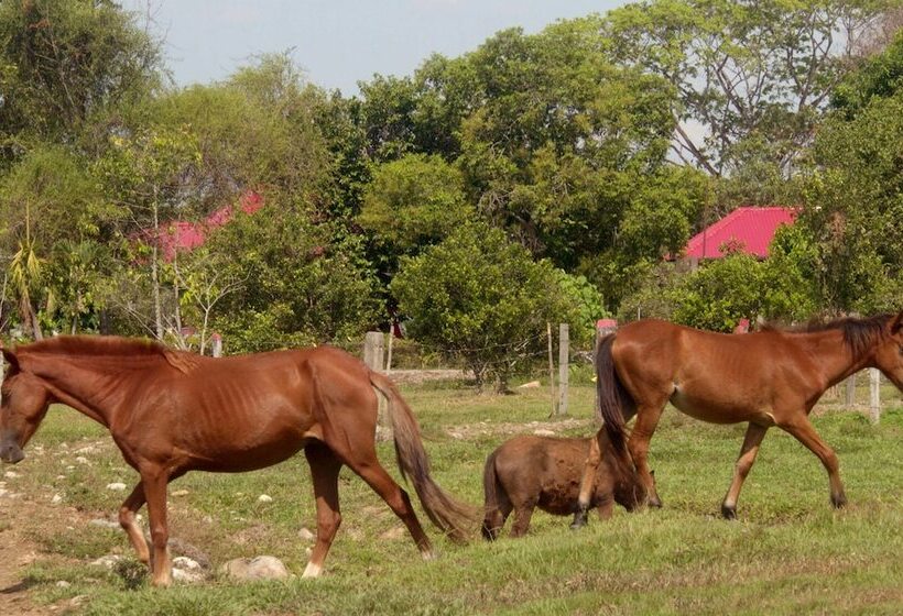 בית מלון כפרי Rio Humadea