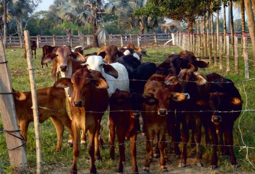 בית מלון כפרי Rio Humadea