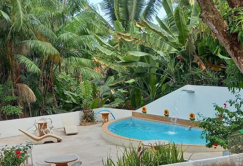 Pension A Pousada Da Praia