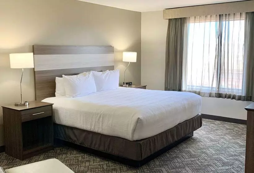 هتل Best Western Plus Great Northern Inn