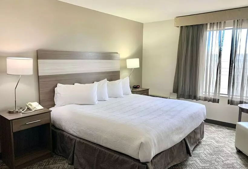 هتل Best Western Plus Great Northern Inn