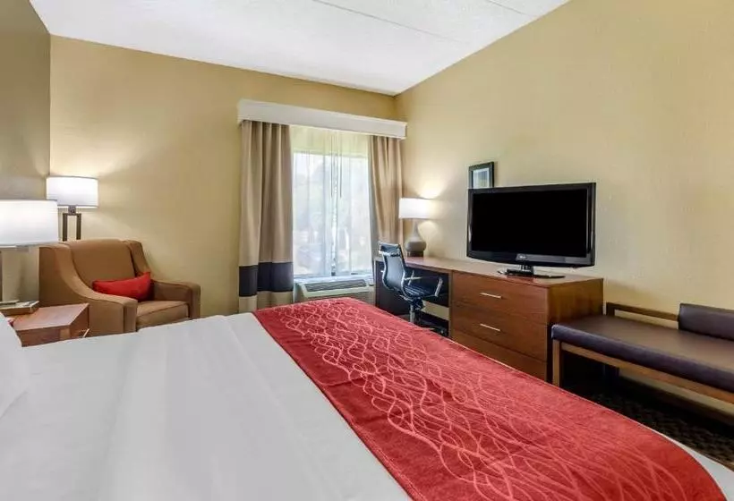 酒店 Comfort Inn