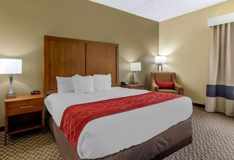 酒店 Comfort Inn