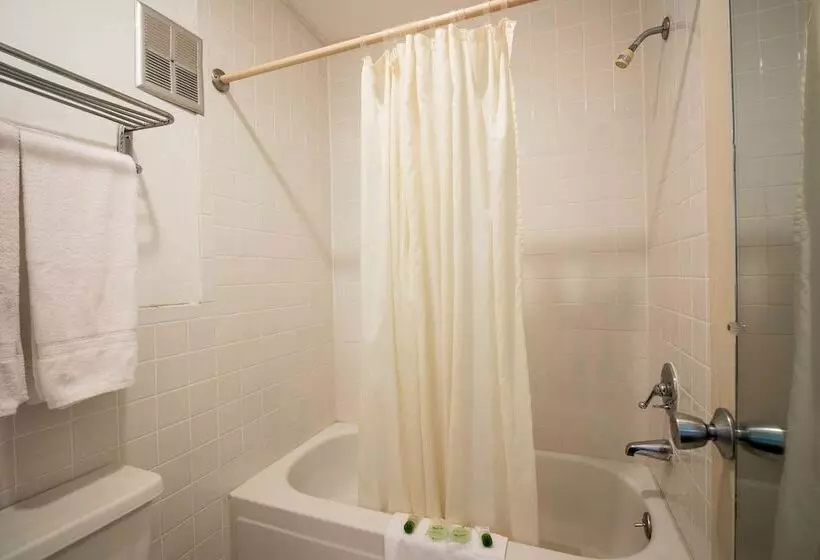 בית מלון כפרי O Grand Inn Channelview I10