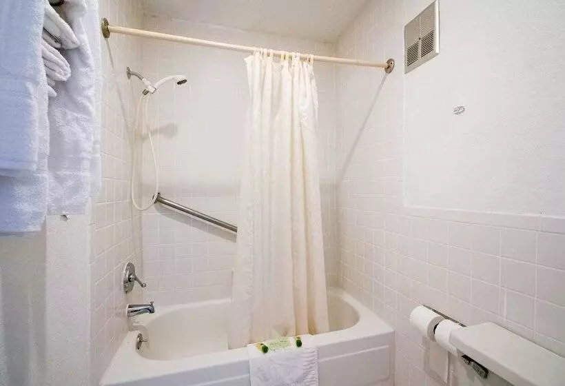 בית מלון כפרי O Grand Inn Channelview I10