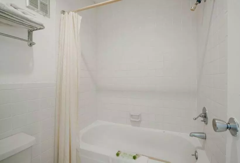 בית מלון כפרי O Grand Inn Channelview I10