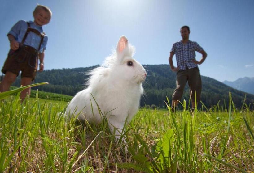 酒店 Frida Am Wald