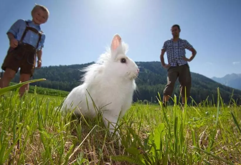 Hotelli Frida Am Wald