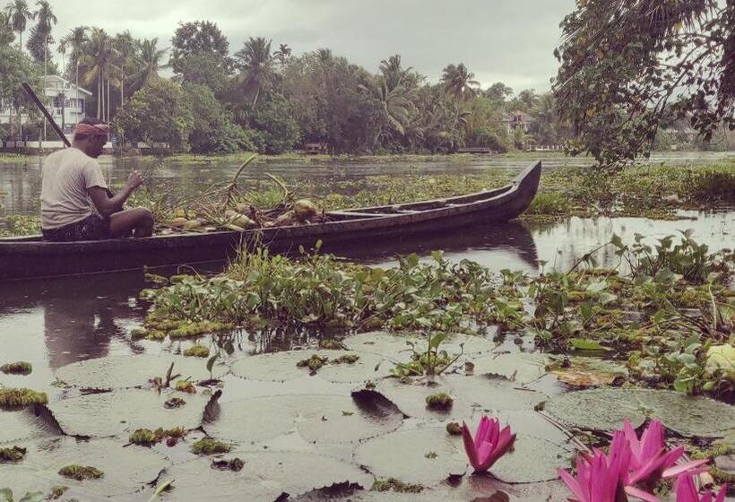 צימר Sunsets And Palm Trees