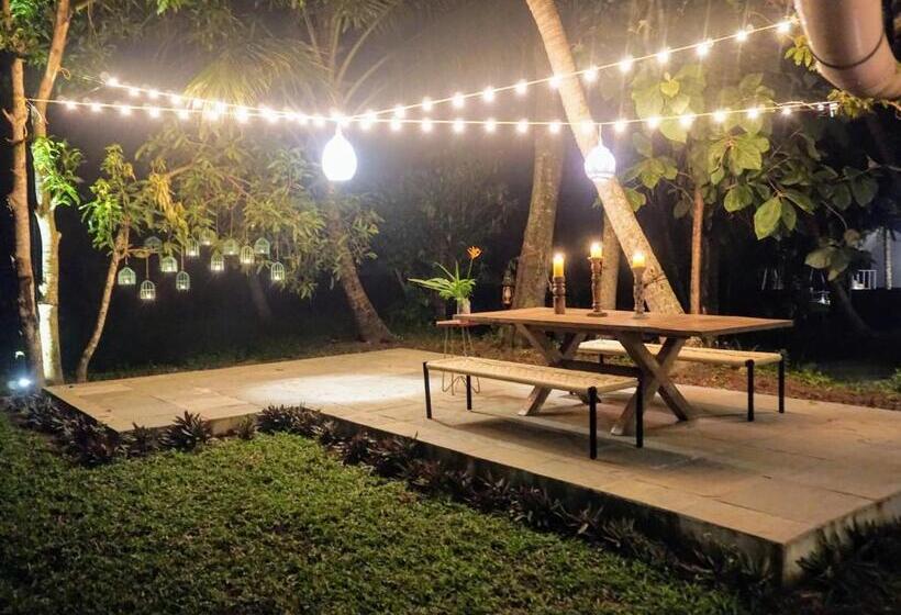 צימר Sunsets And Palm Trees