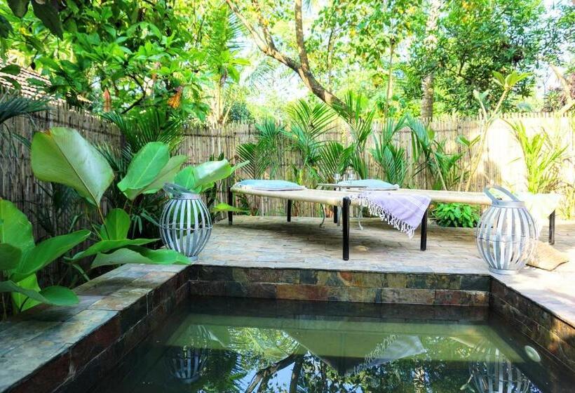 צימר Sunsets And Palm Trees