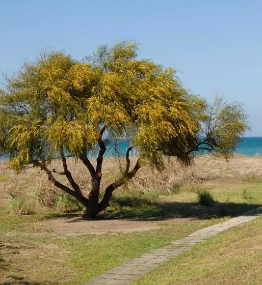 Finbaja Resort
