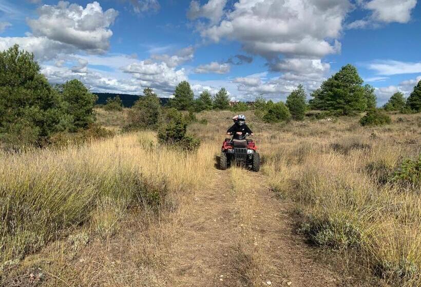 膳宿费 El Mirador