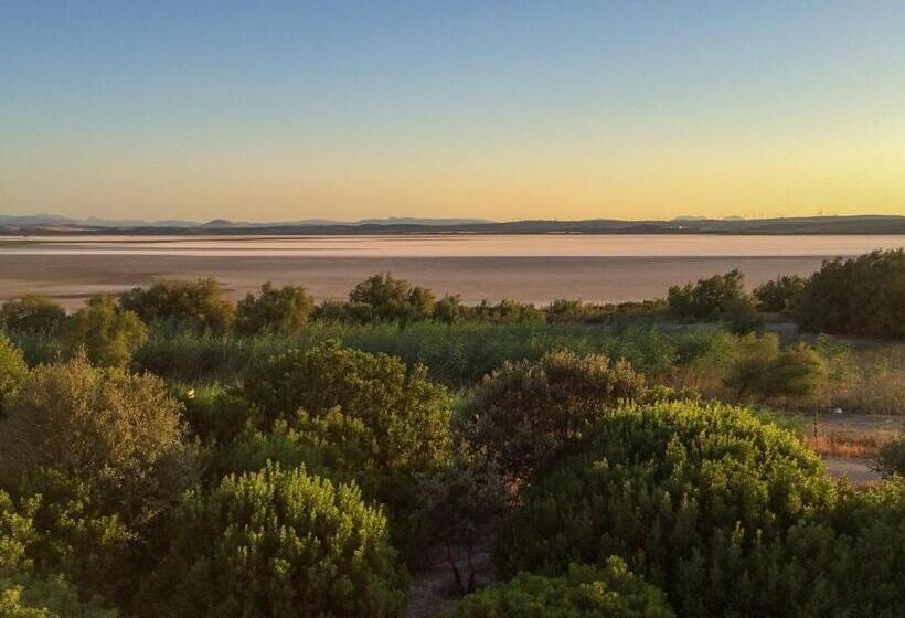 Apartamentos La Laguna