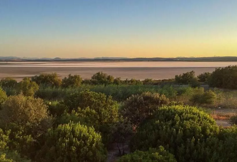 Apartamentos La Laguna