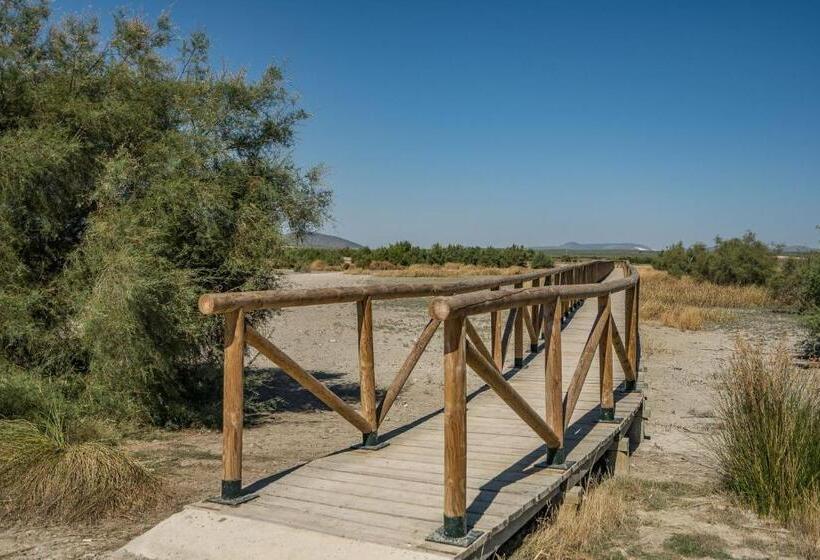 Apartamentos La Laguna