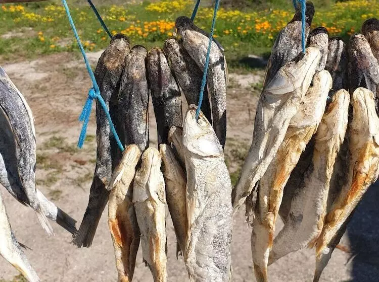 Aamiaismajoitus (B&B) You Have Arrived Guesthouse