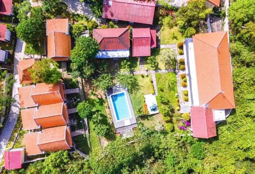 Hotelli The Pande Hill Homestay