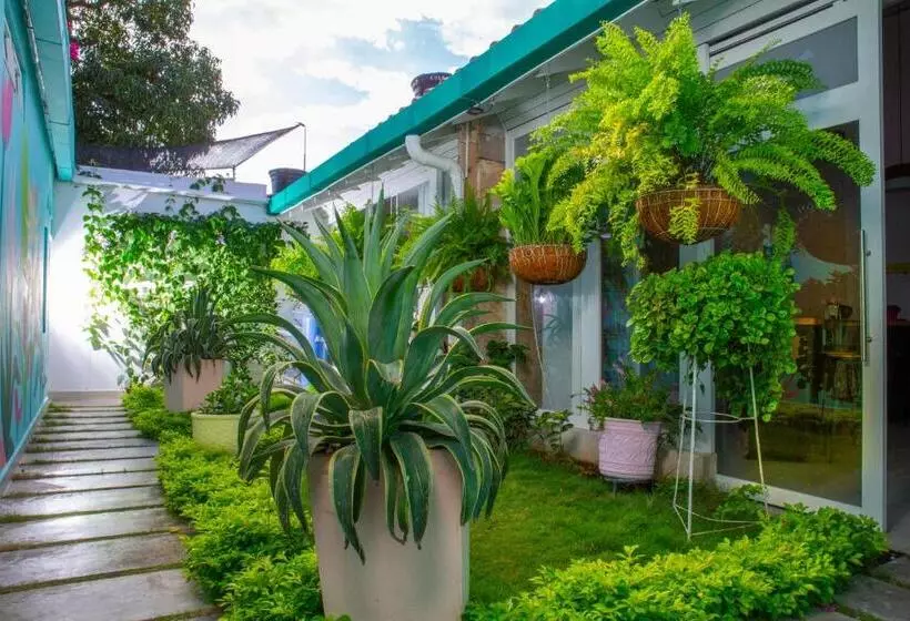 ペンション Casana