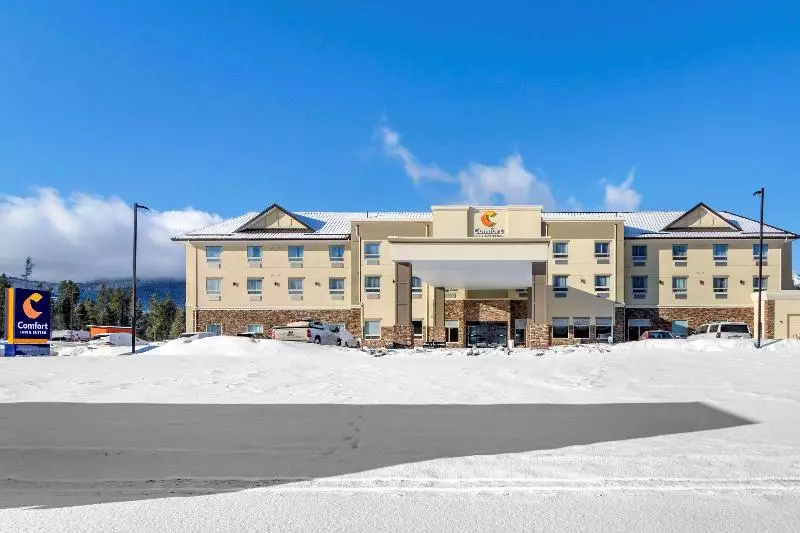 ホテル Comfort Inn & Suites