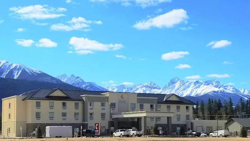 ホテル Comfort Inn & Suites