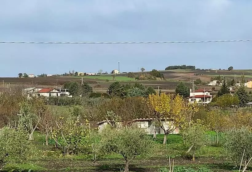 Aamiaismajoitus (B&B) Il Melograno