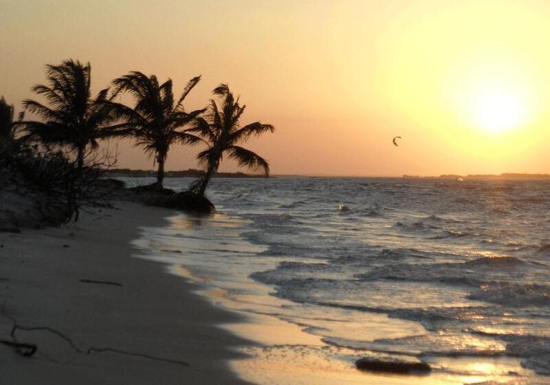 بنسيون Pousada Velho Bateau