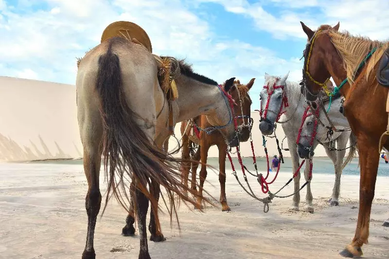 ペンション Pousada Velho Bateau