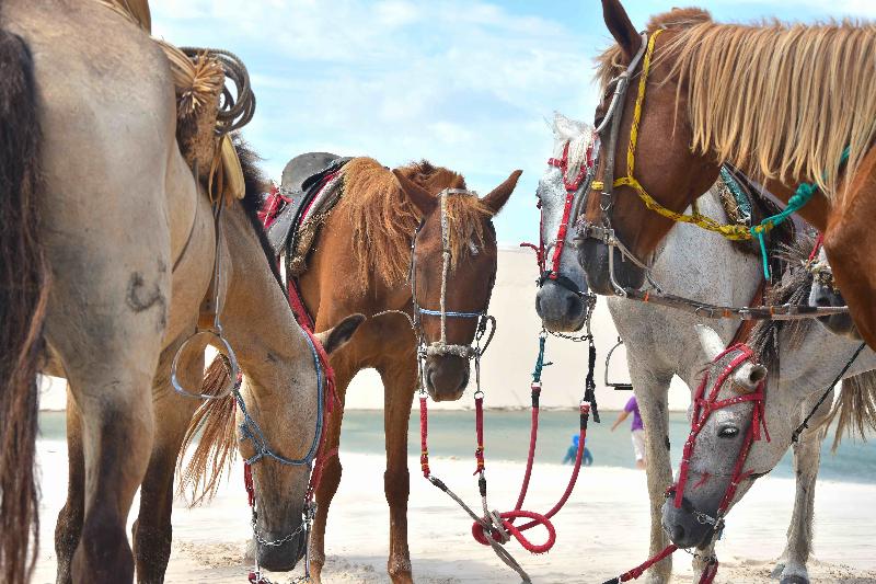 بنسيون Pousada Velho Bateau