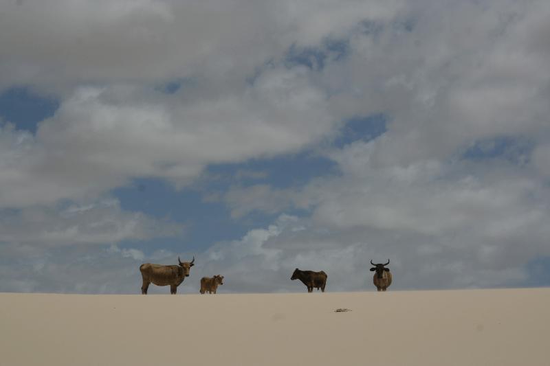 بنسيون Pousada Velho Bateau
