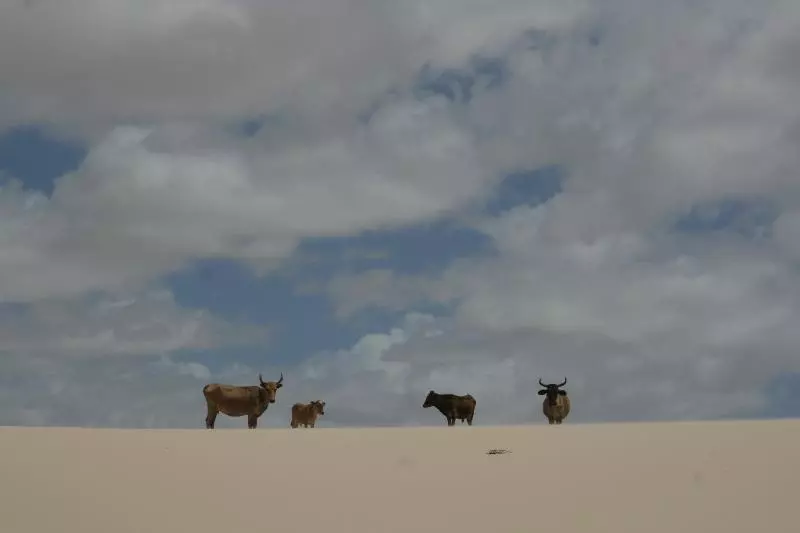 ペンション Pousada Velho Bateau