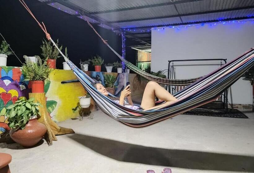 ペンション Shoffi S House Backpackers