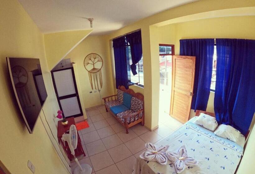 ペンション Shoffi S House Backpackers