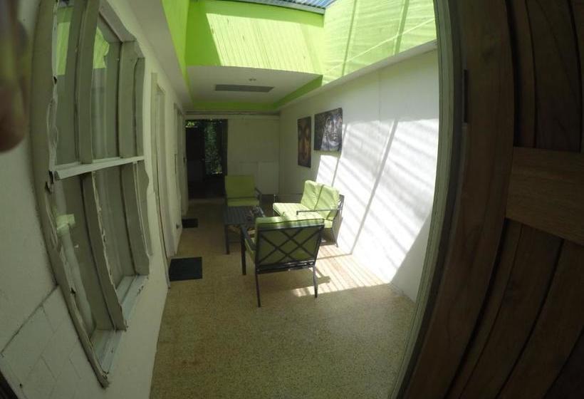 호스텔 Esterillos Oeste Beach House Hostal