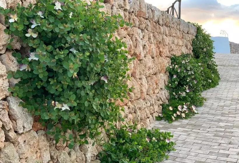 هتل Agroturismo Llucasaldent Gran Menorca   Adults Only