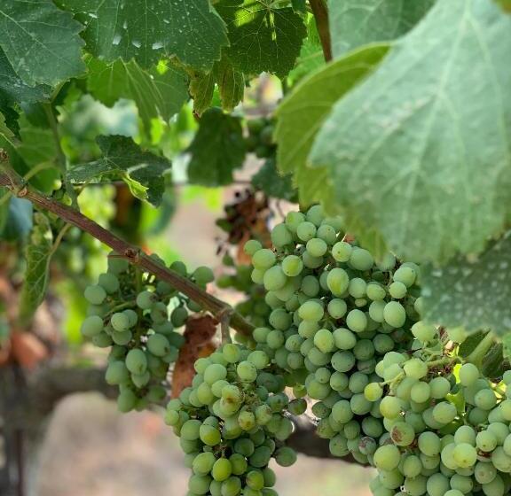 هتل Agroturismo Llucasaldent Gran Menorca Adults Only